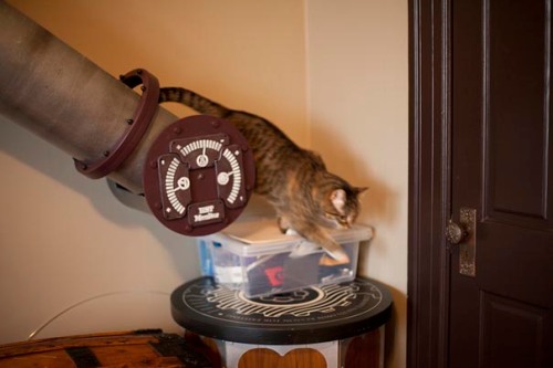 Steampunk-Inspired-Cat-Tunnel-System-4
